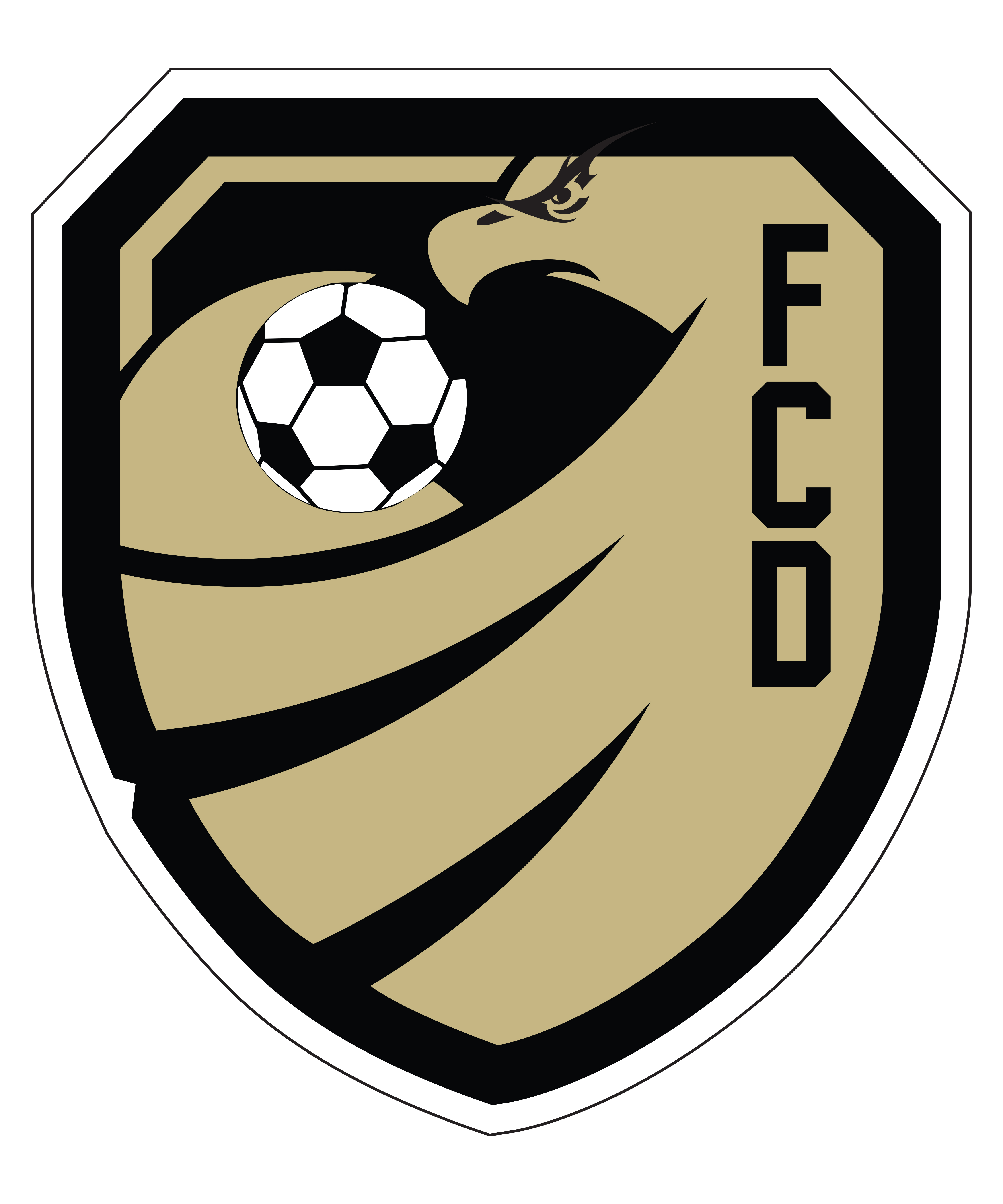 FC Dulles | Travel Tryouts For 2024-2025 Competitive Teams Open For ...